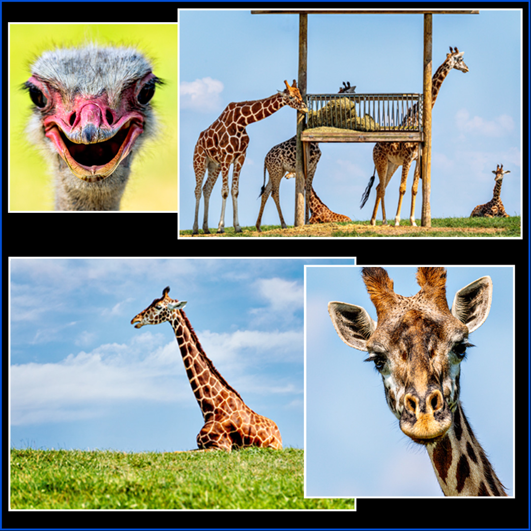 %_tempFileName033%20copy%