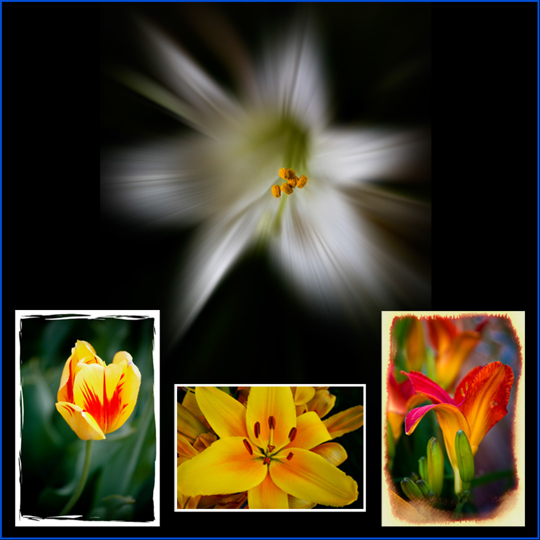 %_tempFileName036%20copy%