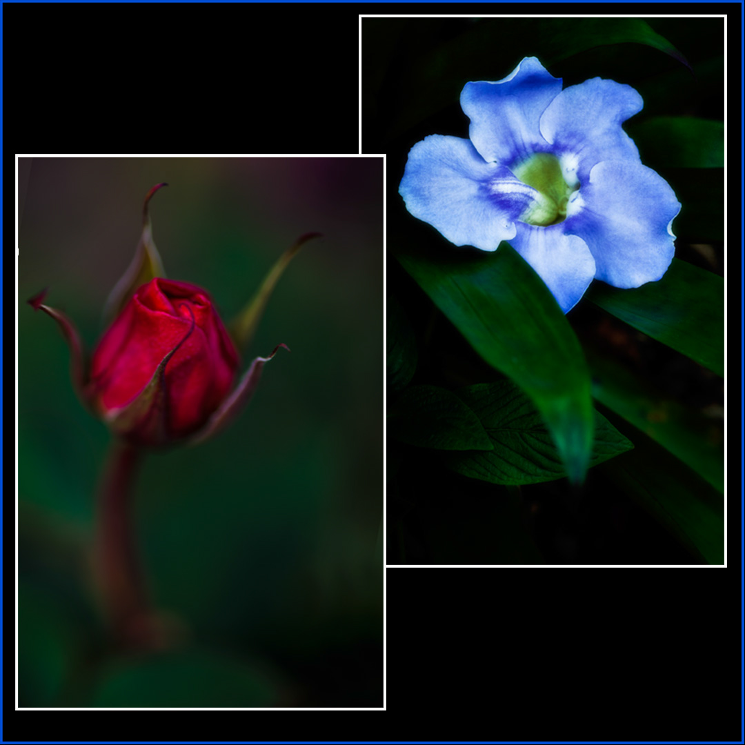 %_tempFileName039%20copy%