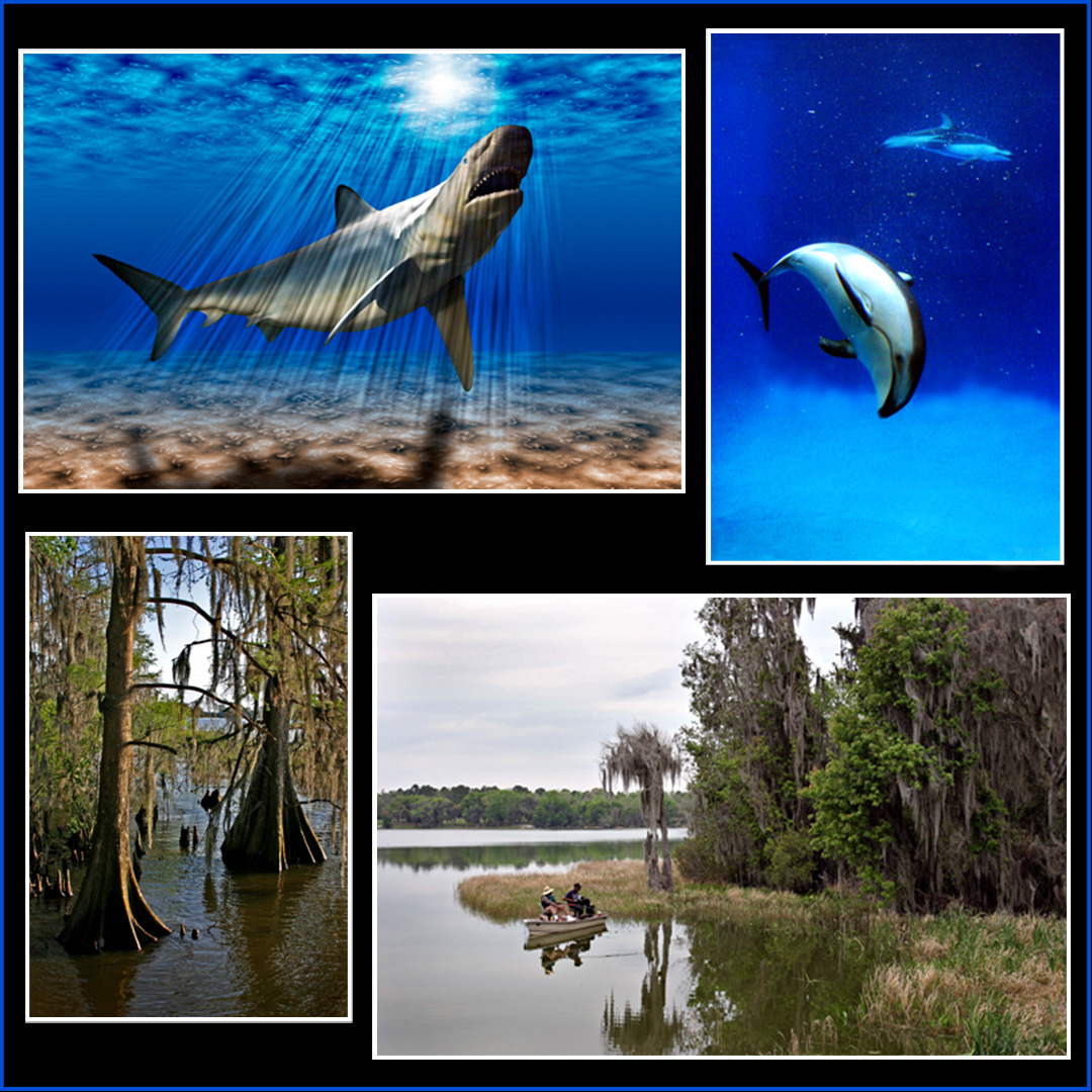 %_tempFileName040%20copy%