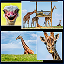 %_tempFileName033%20copy%