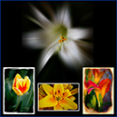 %_tempFileName036%20copy%