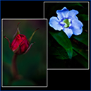 %_tempFileName039%20copy%