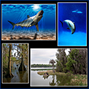 %_tempFileName040%20copy%